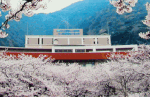 特定医療法人　北九州病院　北九州安部山公園病院